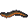 Electric Eel