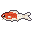 Koi